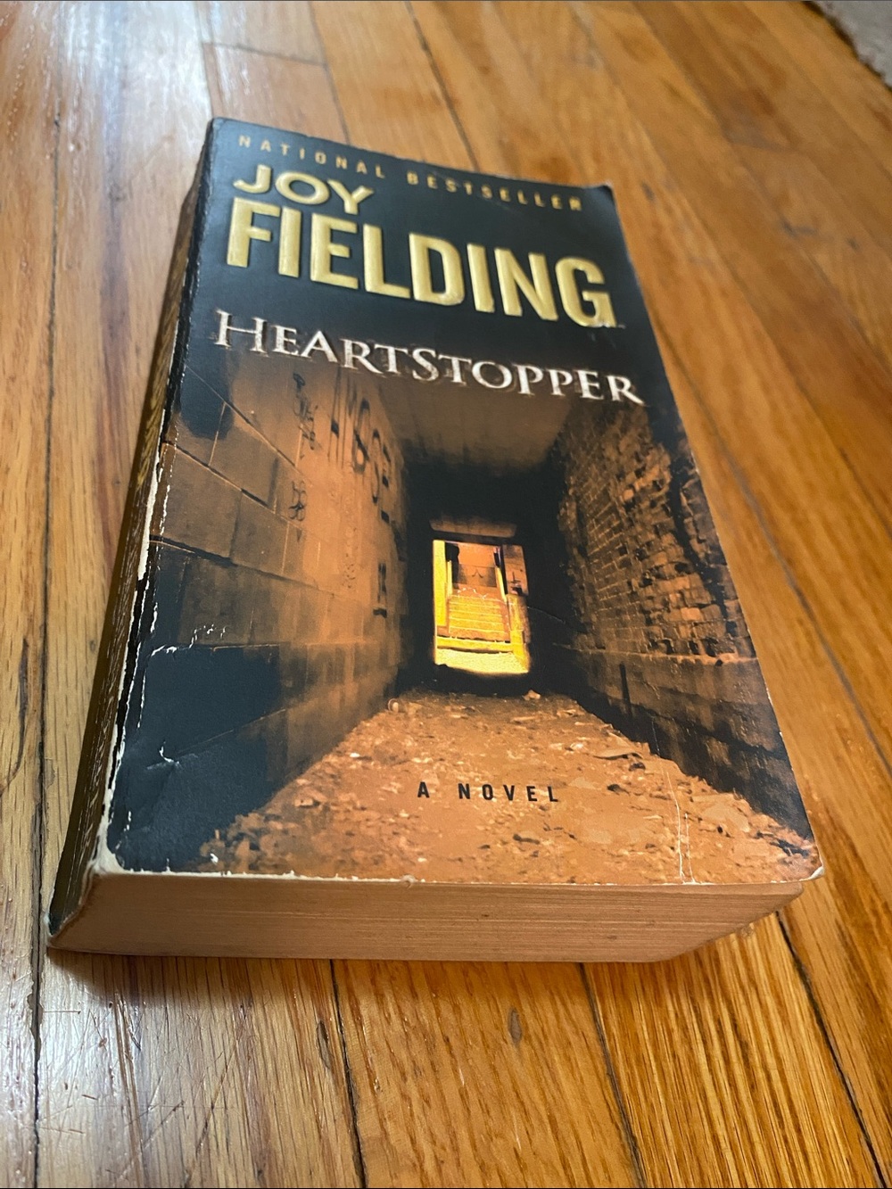 Heartstopper Paperback Book - Joy Fielding